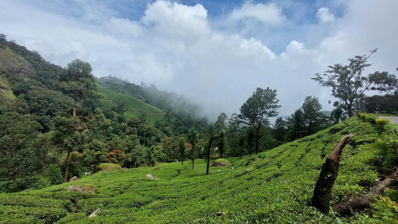 Haritha Homestay Munnar Exteriér fotografie